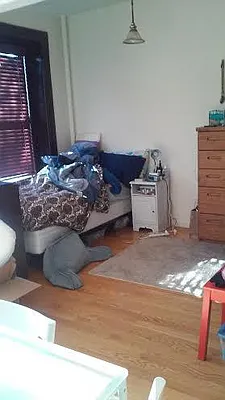 Rented by Miron Properties | media 25