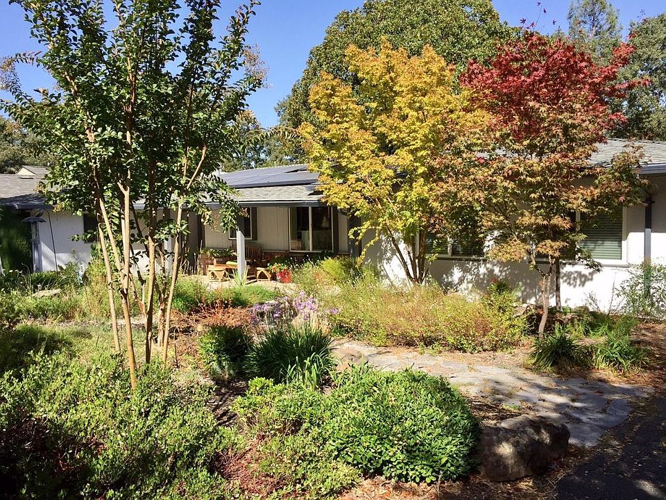 View from Street - All Natives Front Yard