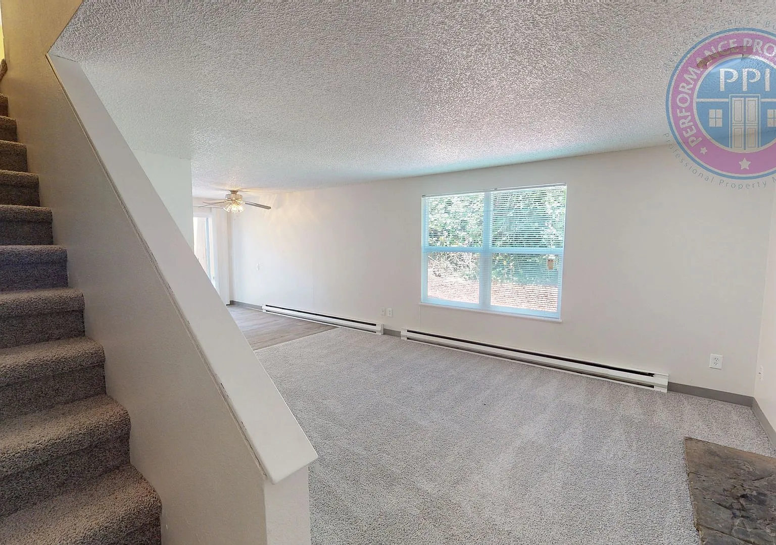 tuf8640 — Photo 3