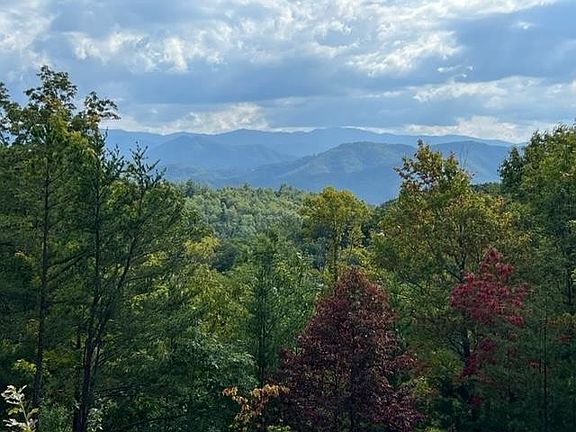 4th image of 2235 Bluff Mountain Rd Lot 130
