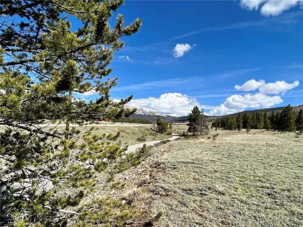 51394 HWY 9, Alma, CO 80420