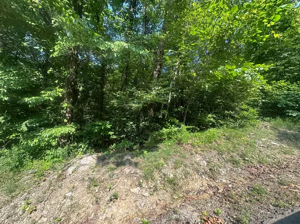 49 Rock Springs Rd, Celina, TN 38551