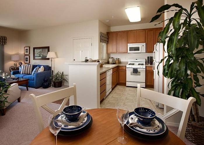 Modern Kitchen