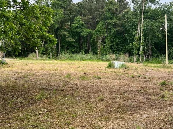 193 Evergreen Ln, Saint George, SC 29477
