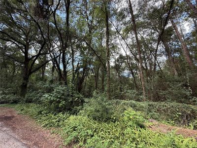 SE 9th Pl, Gainesville, FL, 32641