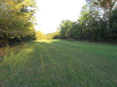 1951 Hurricane Rd, Cadiz, KY, 42211