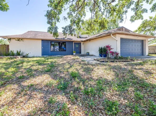 12503 Twisted Oak Dr, Tampa, FL 33624