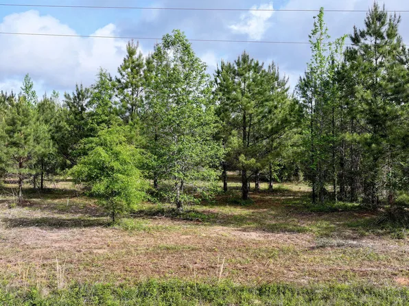 Morrow Bridge Rd, Dry Creek, LA 70637