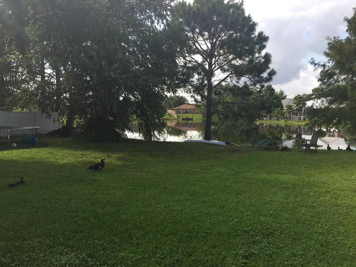 9860 Creet Circle — Photo 4
