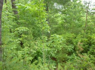 116 Long Branch Rd LOT 55, Townsend, TN 37882