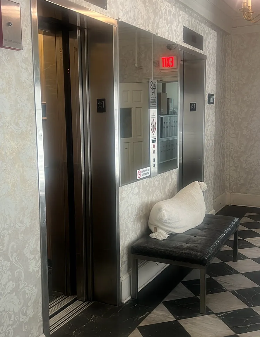 1 bed, 415 sqft, $1,600 — Photo 3