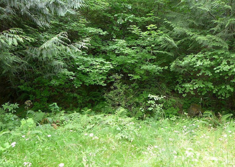 3 Red Cedar Ln Packwood, WA, 98361 Apartments for Rent Zillow