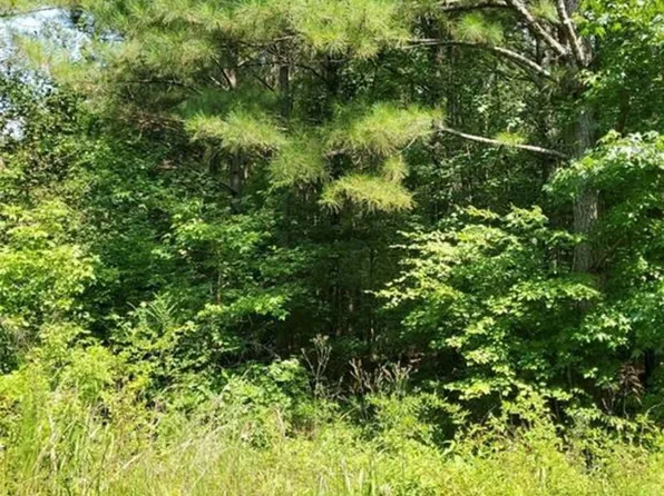 0 Dean Rd, Aragon, GA 30104