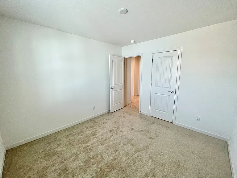 Bedroom 1 with walk in closet and door to hall.