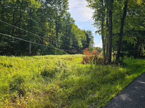 0 Reas Ln, New Millport, PA 16861