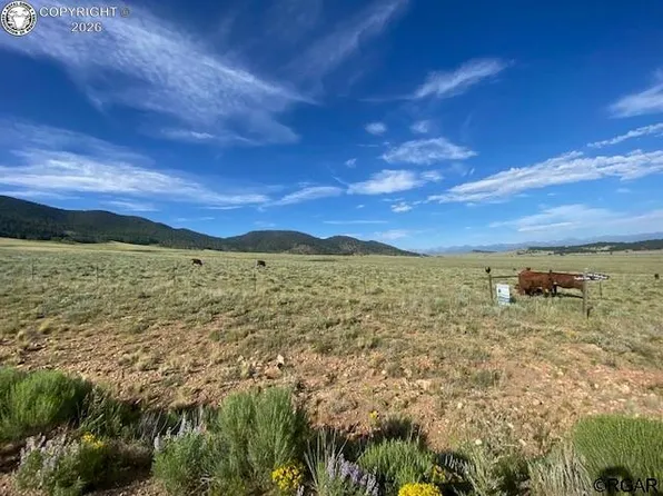 31-32 Eagle's Gate Rd, Westcliffe, CO 81252