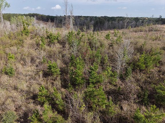 4th image of Tbd Mount Zion Rd