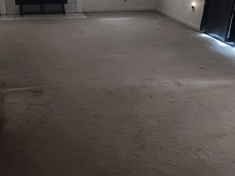4475 Bayshore Cir — Photo 5