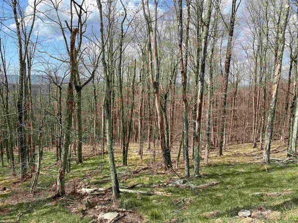 136 Ridge Rd, Davis, WV 26260