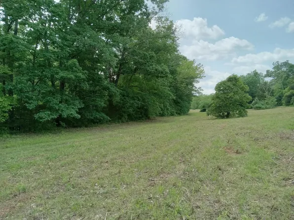 000 Box 110 Rr2, Mansfield, MO 65704