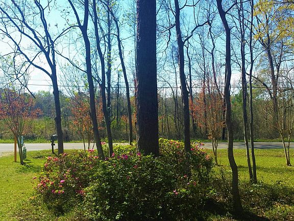 View from the front porch. 