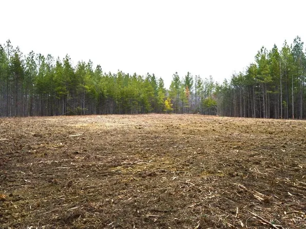 182 Dibrell Rd, Pelham, NC 27311