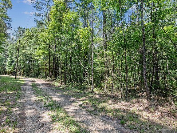 3rd image of LOT 1 Pace Rd