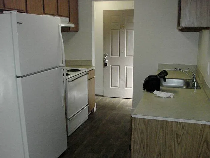 2 bed, 1.0 bath, 800 sqft, $1,245 — Photo 4