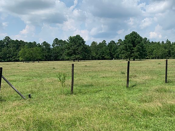 Fence and back pasture