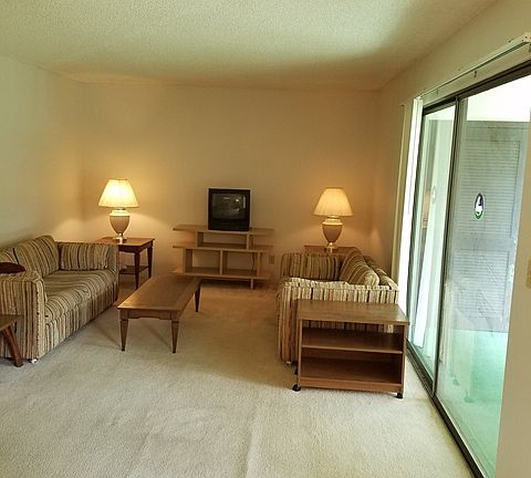 3rd image of 306 Palm Coast Pkwy NE APT 202