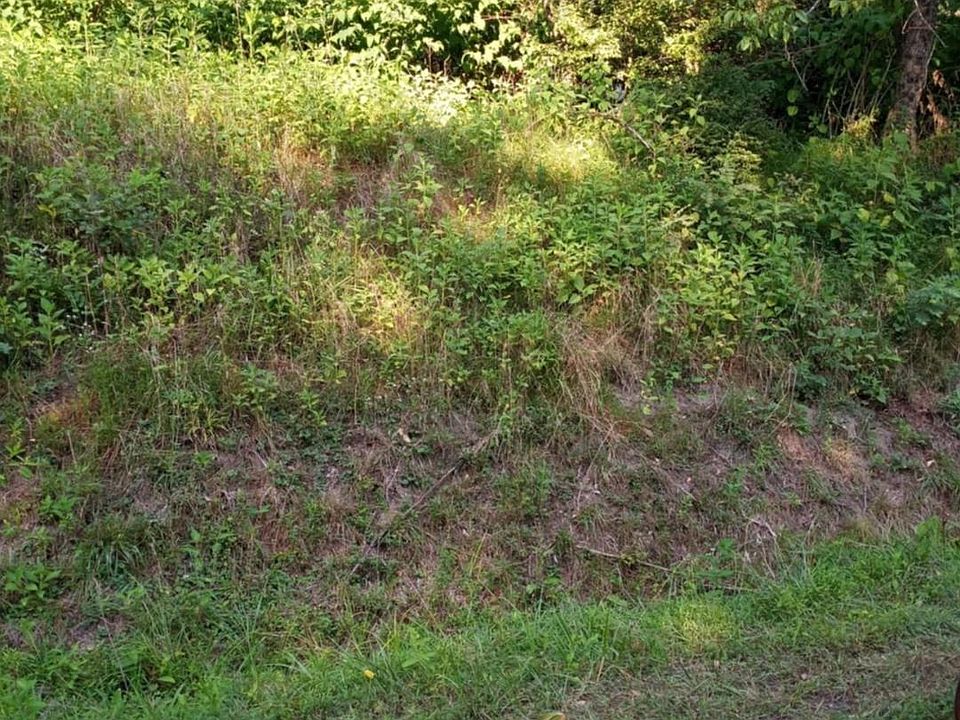 2nd image of 1024 Mount Lebanon Rd