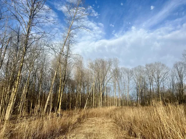 1943 Pinckney Rd, Saranac, MI 48881