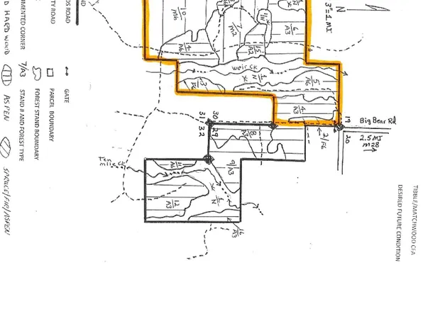 Big Bear Rd, Ewen, MI 49925