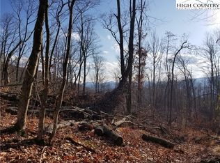 Tbd Old Beech Mountain Rd, Elk Park, NC 28622