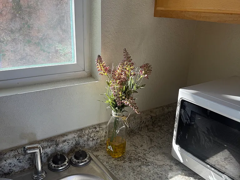797 W Mesa Verde Dr #D — Photo 5