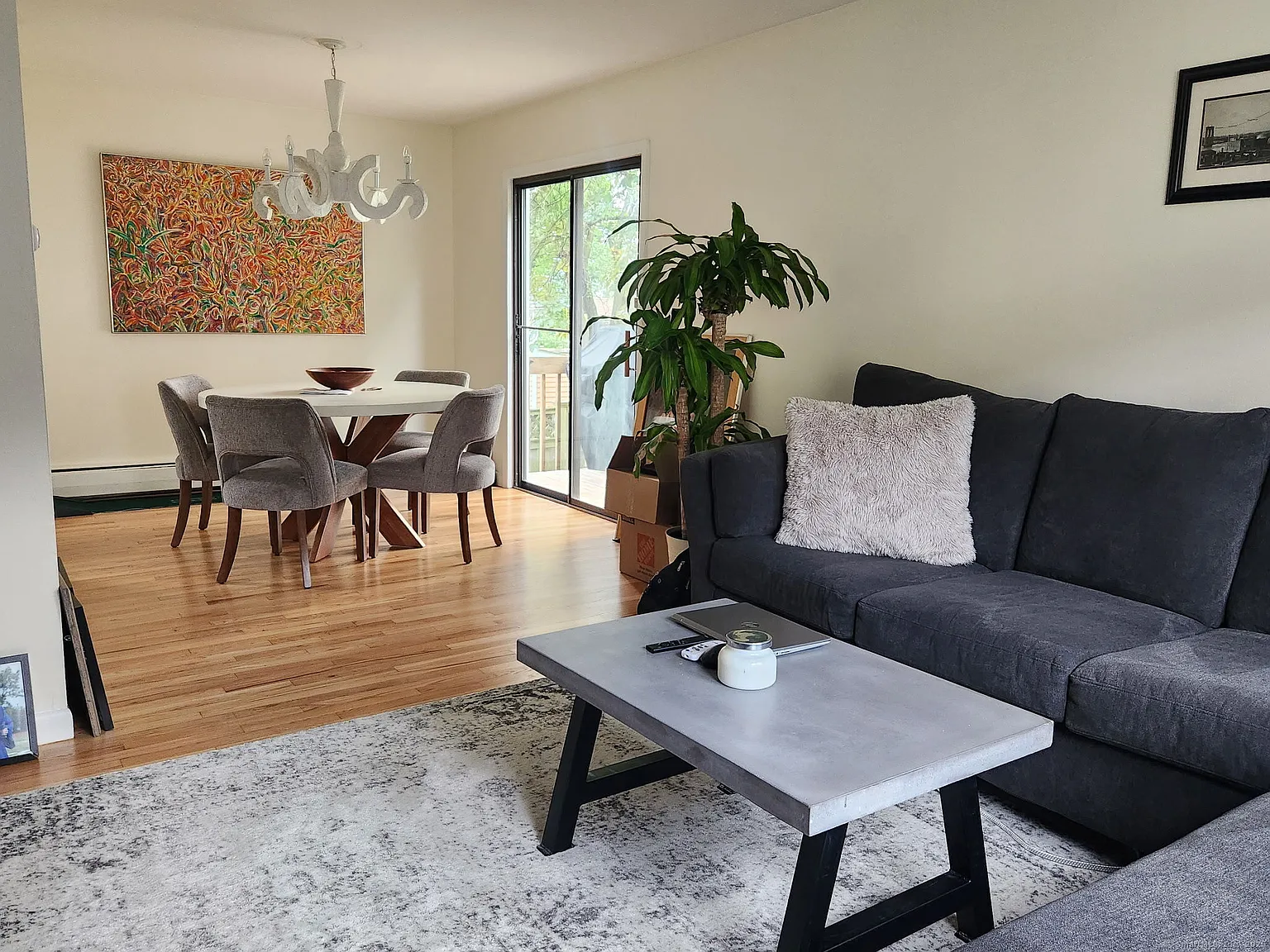 3 bed, 1.5 bath, 1040 sqft, $3,100 — Photo 4