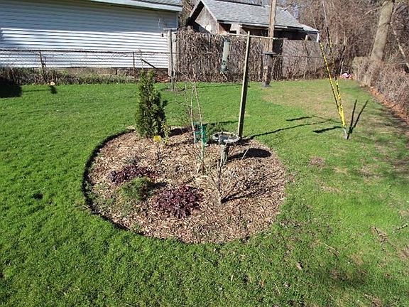 2nd image of 3223 Creek Dr