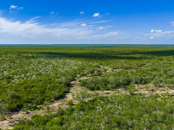 TBD State Highway 16, Freer, TX 78357