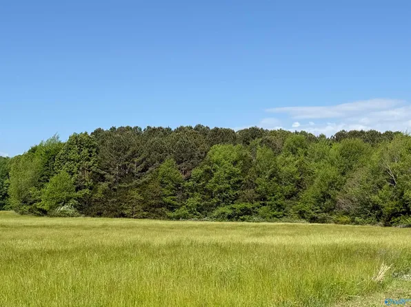 Mount Lebanon Rd, Toney, AL 35773
