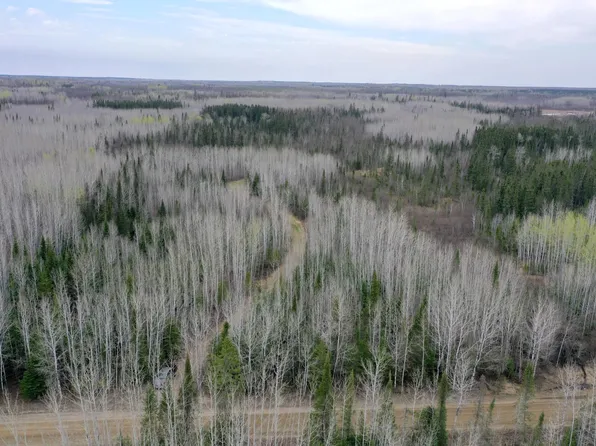 Sethers Rd, Orr, MN 55771