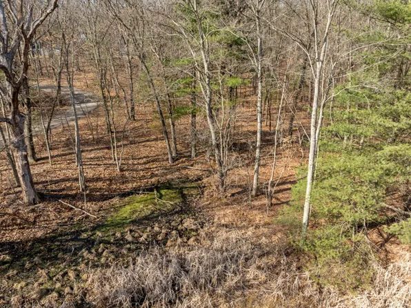 8965 Vergennes St SE, Ada, MI 49301