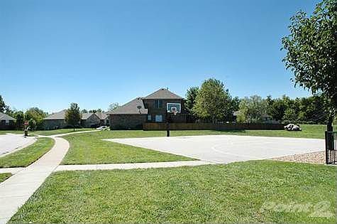 The Basketball Court
