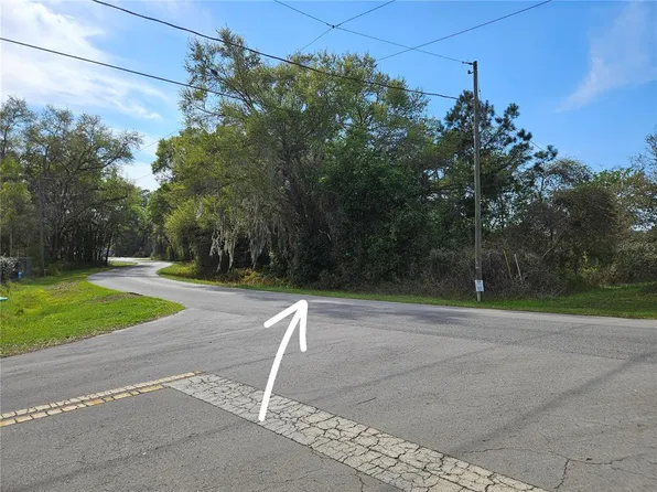 Locust Run Crse Lot 14, Ocala, FL 34472