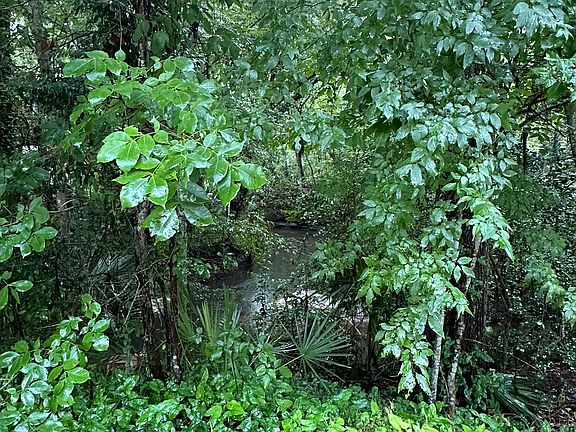 Nature surronds this lovely apartment complex.
