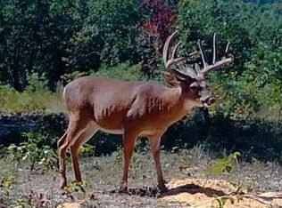 1 Ervin Hill Rd, Beaver, OH 45613