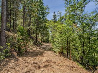 24100 Canterbury Rd, Pioneer, CA 95666