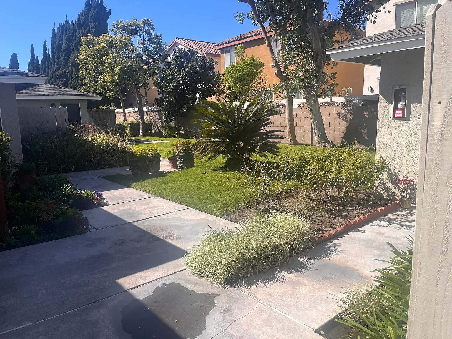 Western Gardens Apartments — Photo 3