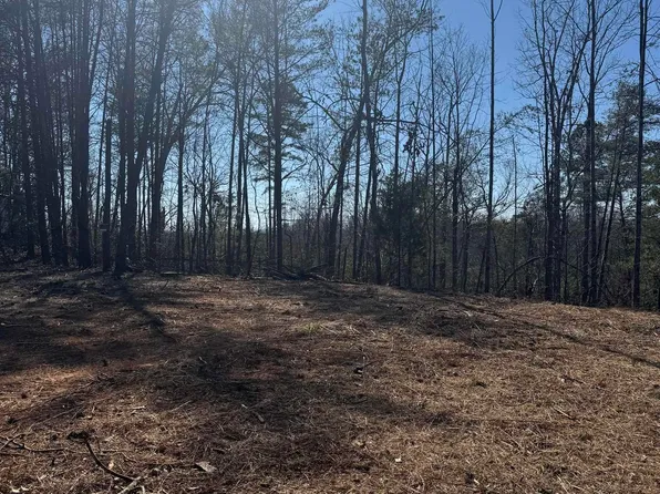 19 Sawblade Rdg, Marietta, SC 29661