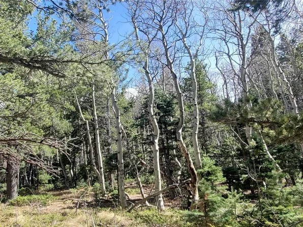 Lot 2560 Grojean Drive LOT 2560, Fort Garland, CO 81133