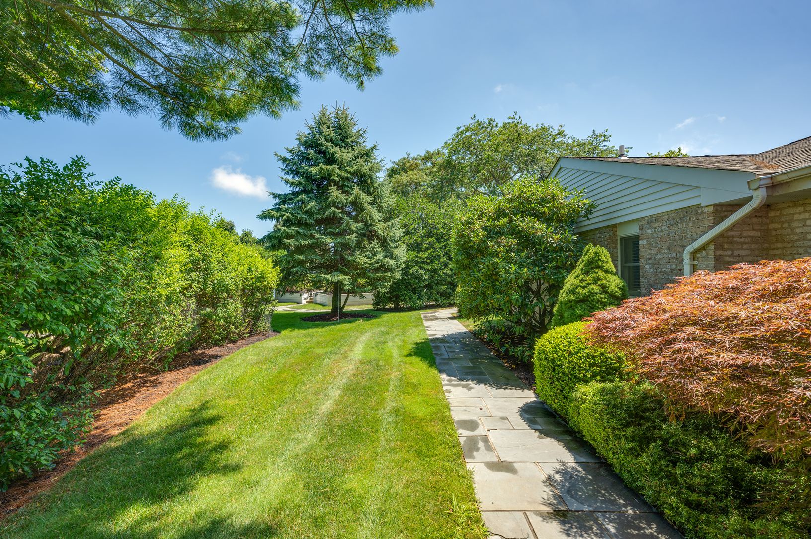 Side Yard